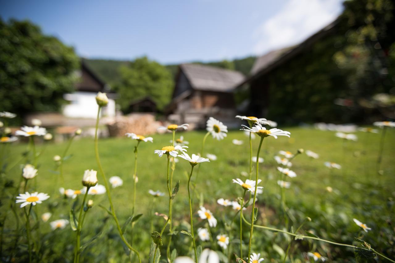 Apartmaji Katrnjek Διαμέρισμα Bohinj Εξωτερικό φωτογραφία